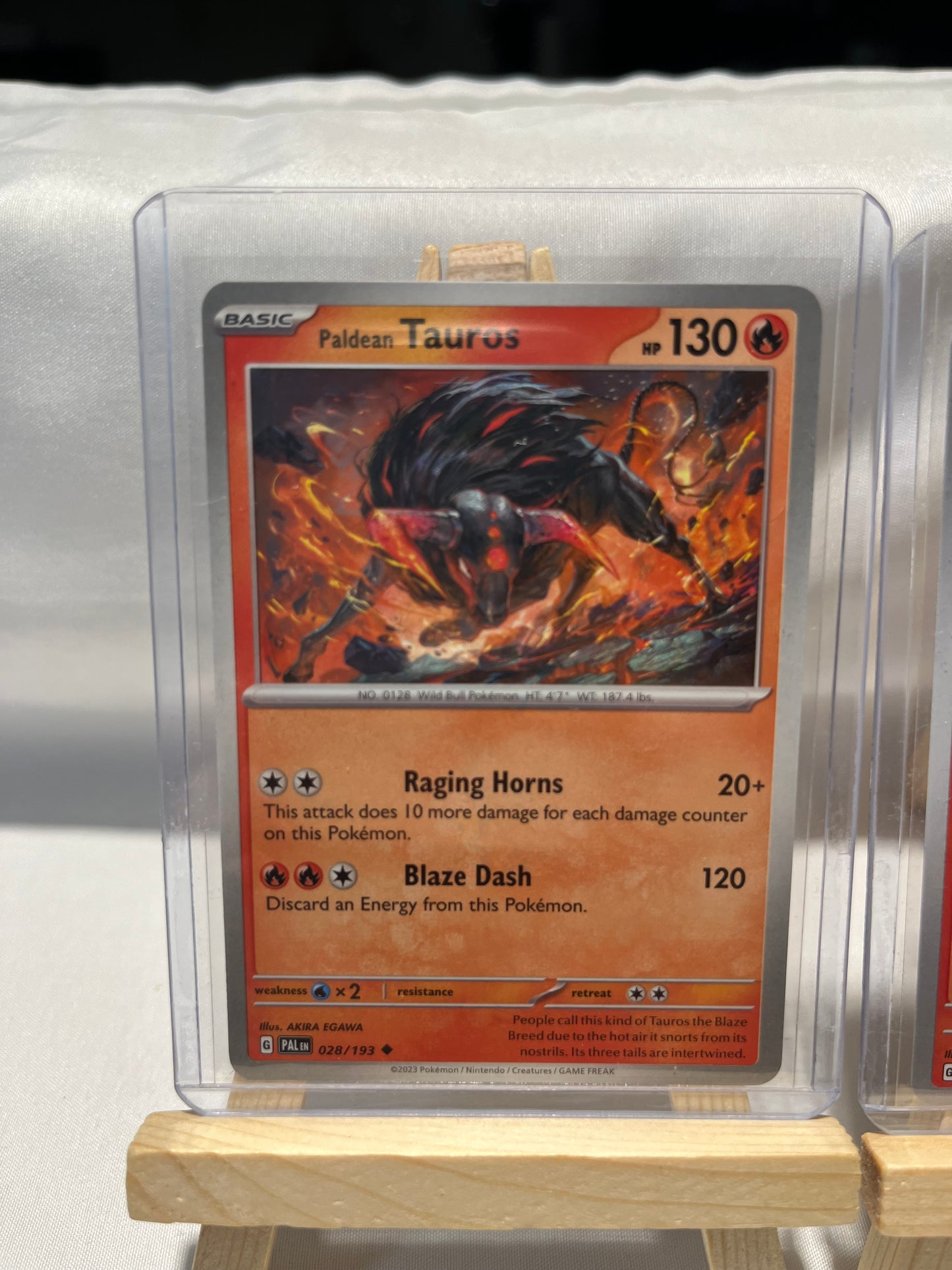 2023 Pokemon Tauros Set