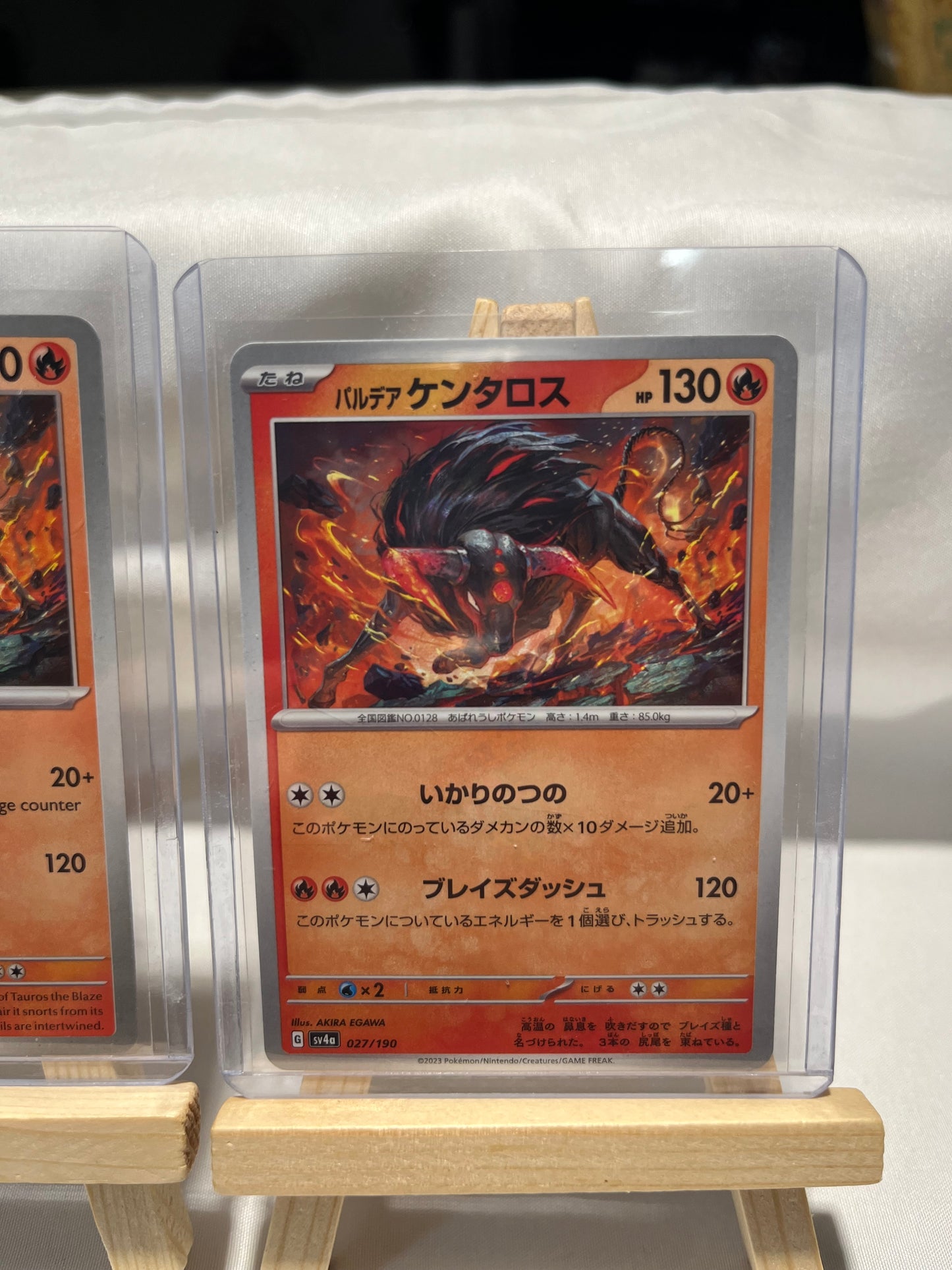 2023 Pokemon Tauros Set