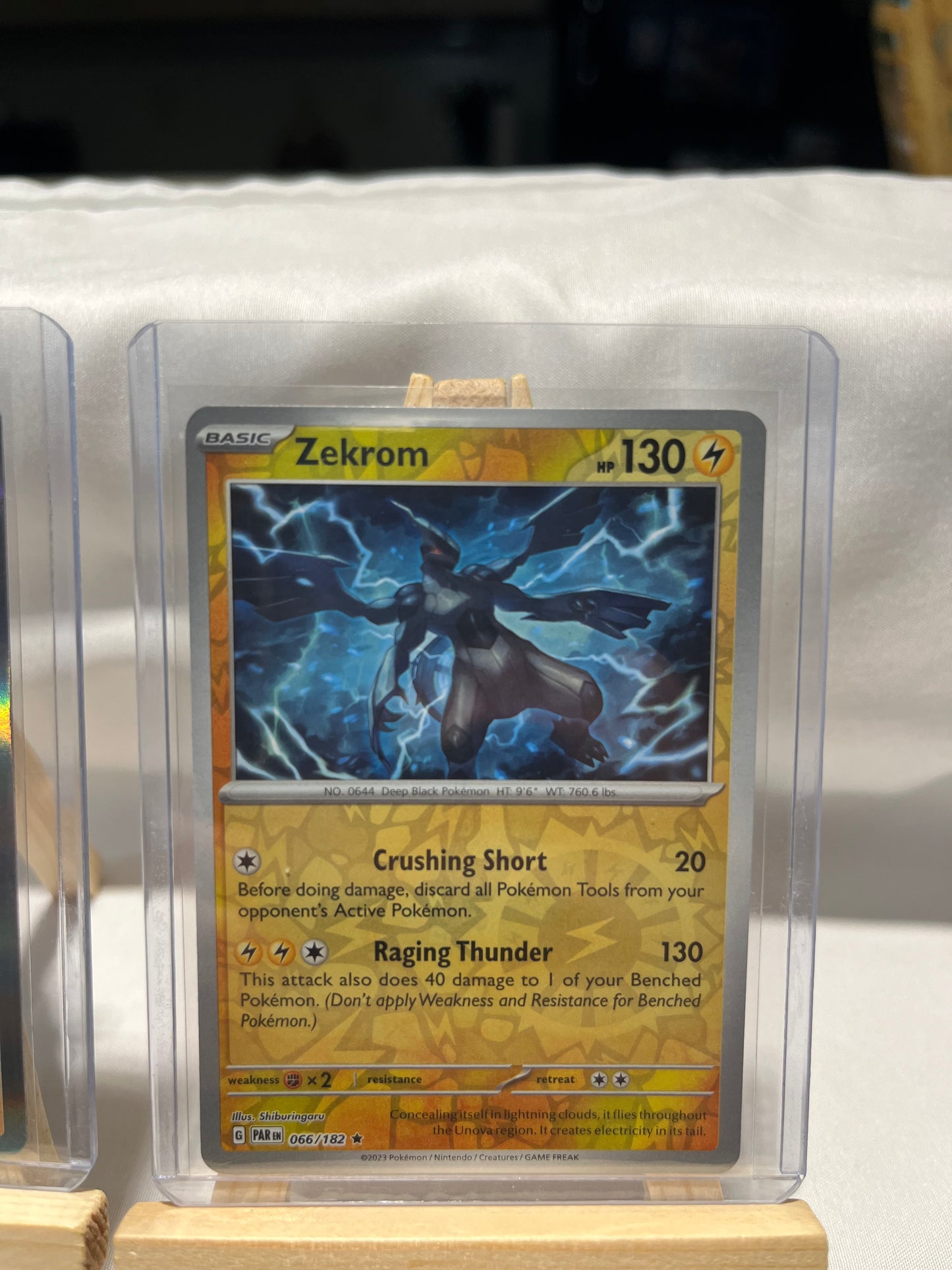 2023 Pokemon Zekrom Set