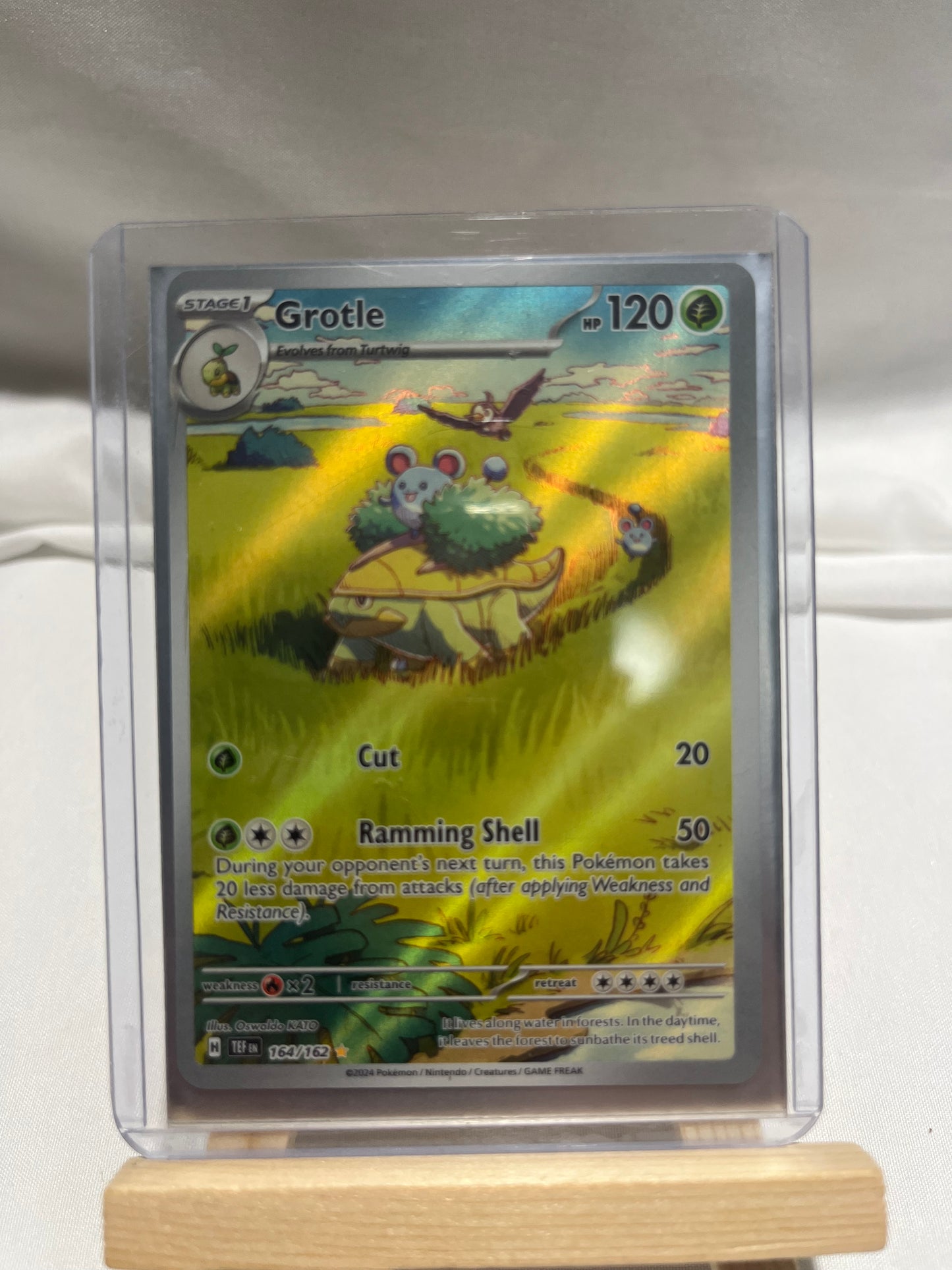 2024 Pokemon Scarlet & Violet Temporal Forces Grotle Illustration Rare #164