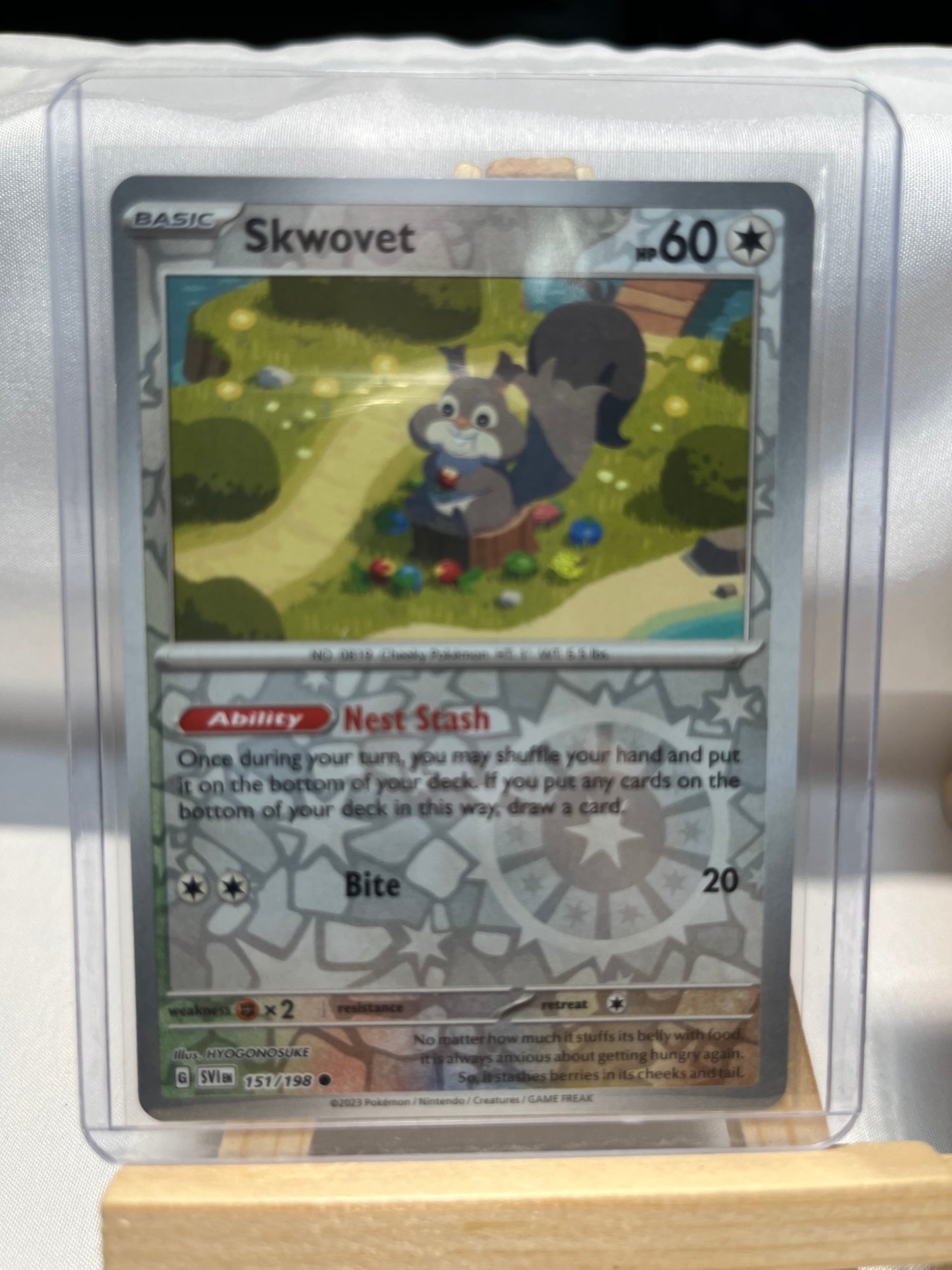 2023 Pokemon Skwovet Set