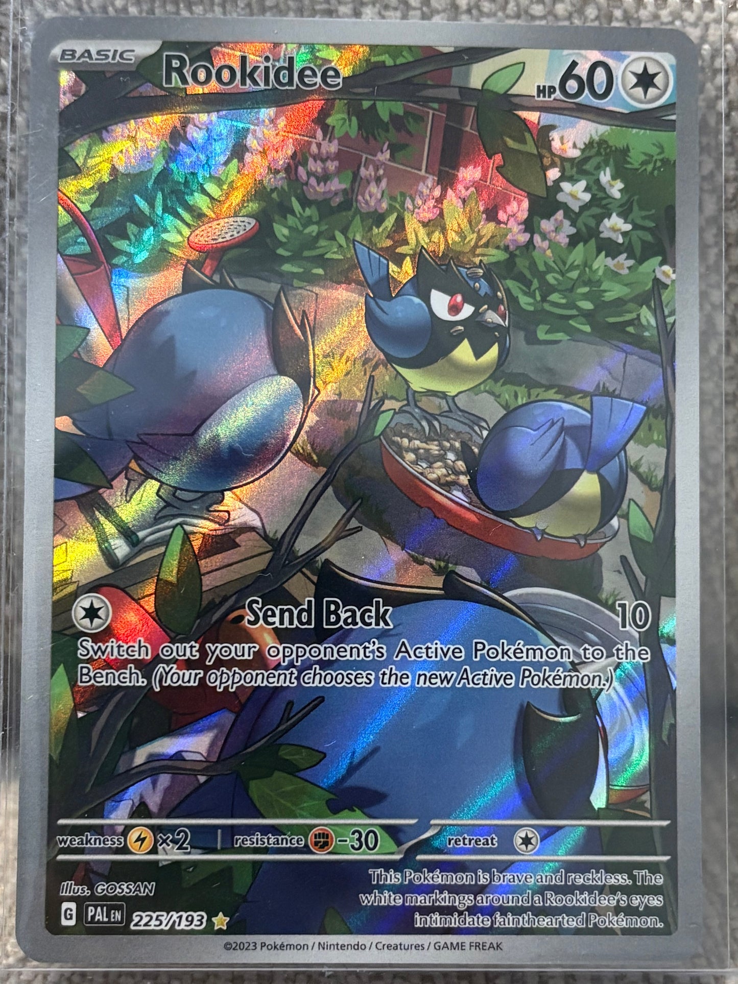 2023 Pokemon Paldea Evolved ROOKIDEE #225