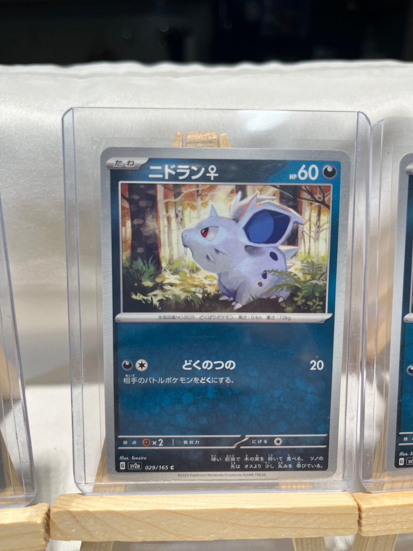 2023 Pokemon Nidoran Set