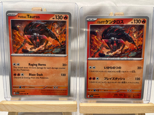 2023 Pokemon Tauros Set