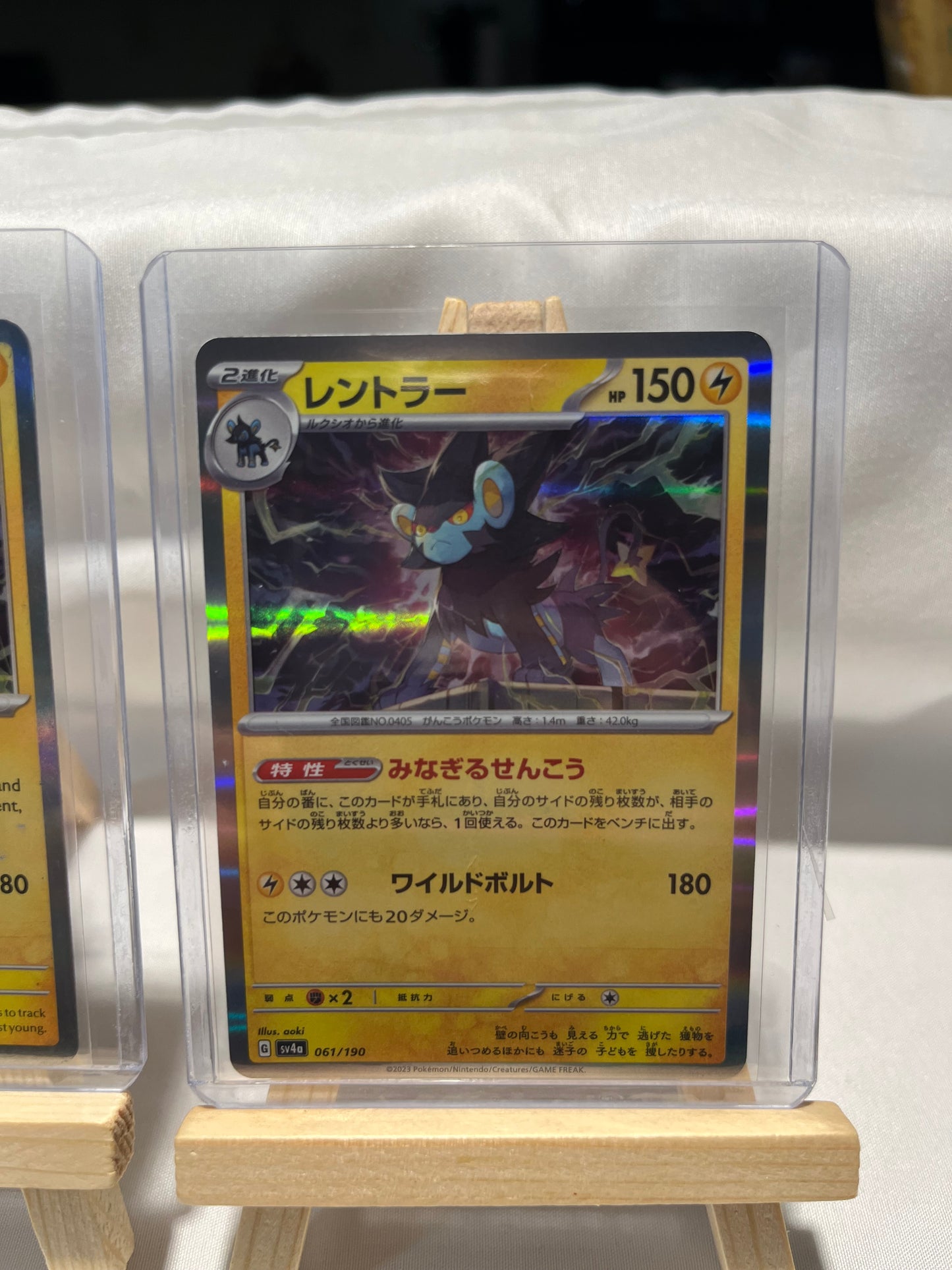 2023 Pokemon Luxray Set