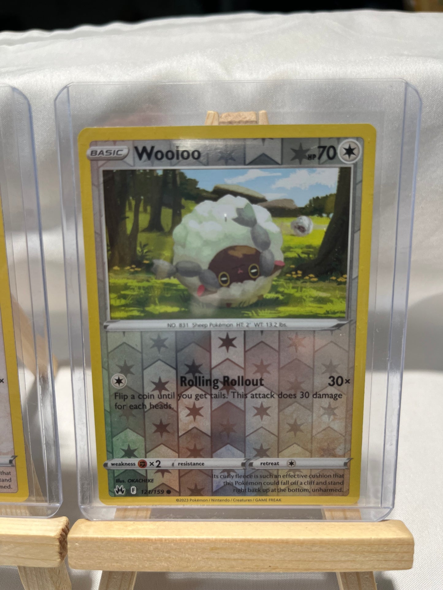 2023 Pokemon Wooloo Set