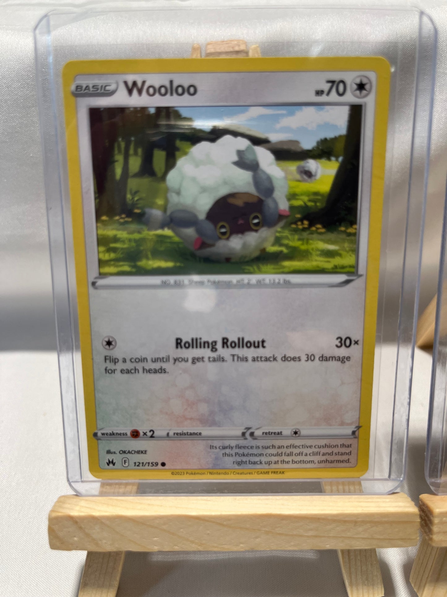2023 Pokemon Wooloo Set