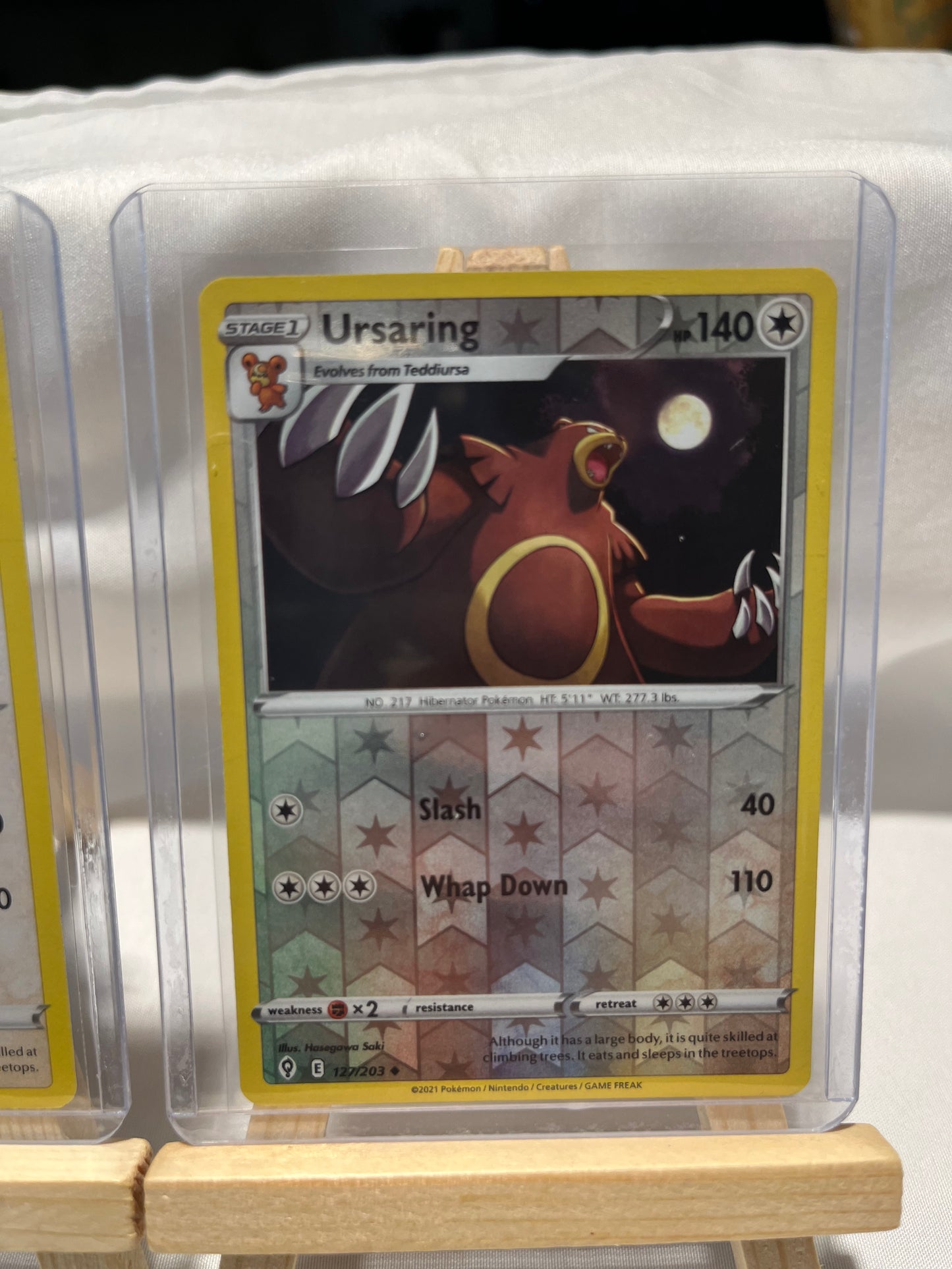 2021 Pokemon Ursaring Set