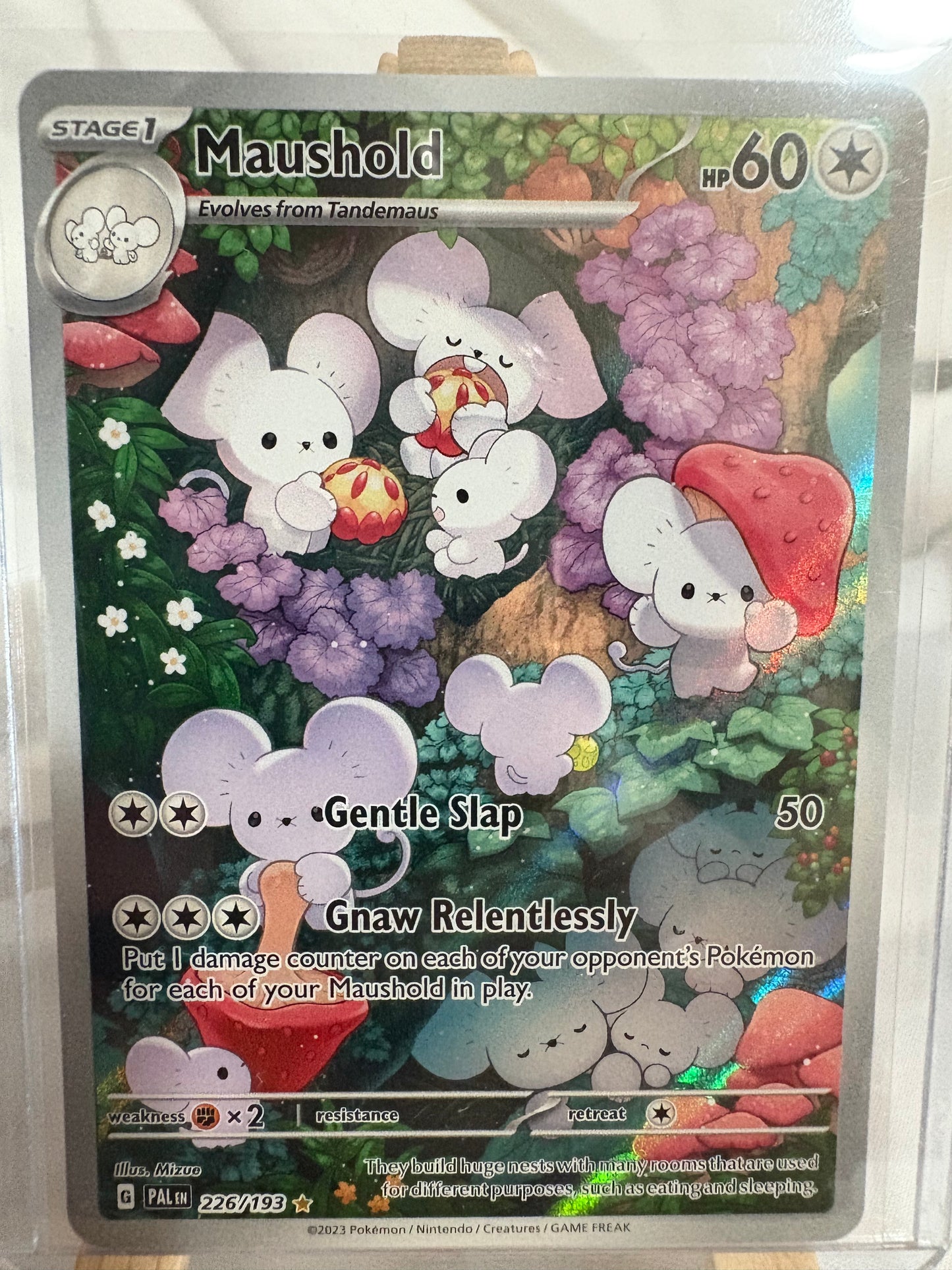 2023 Paldea Evolved Maushold #226
