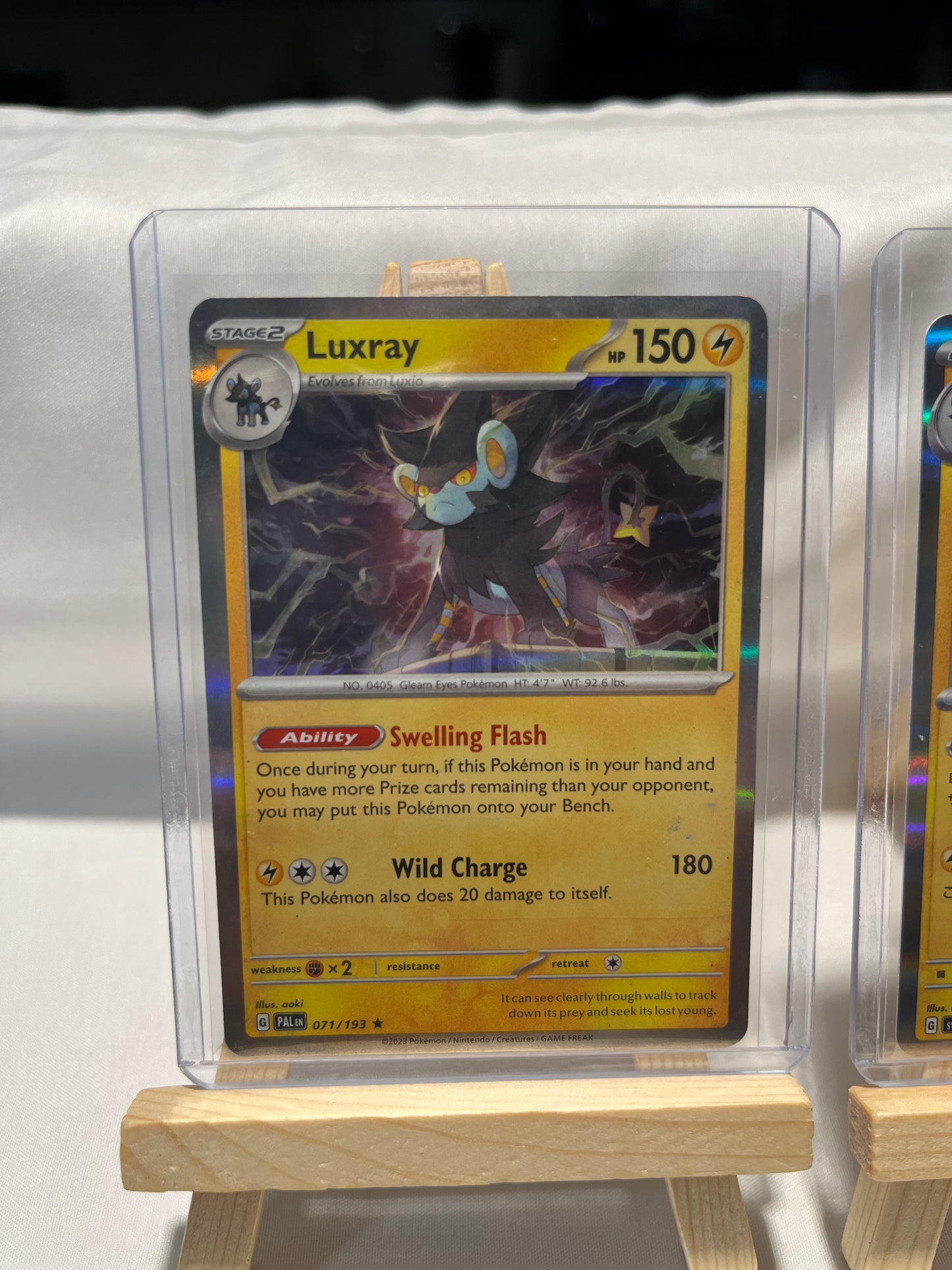 2023 Pokemon Luxray Set