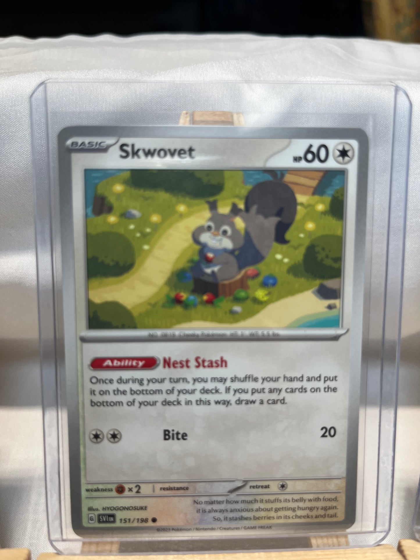 2023 Pokemon Skwovet Set