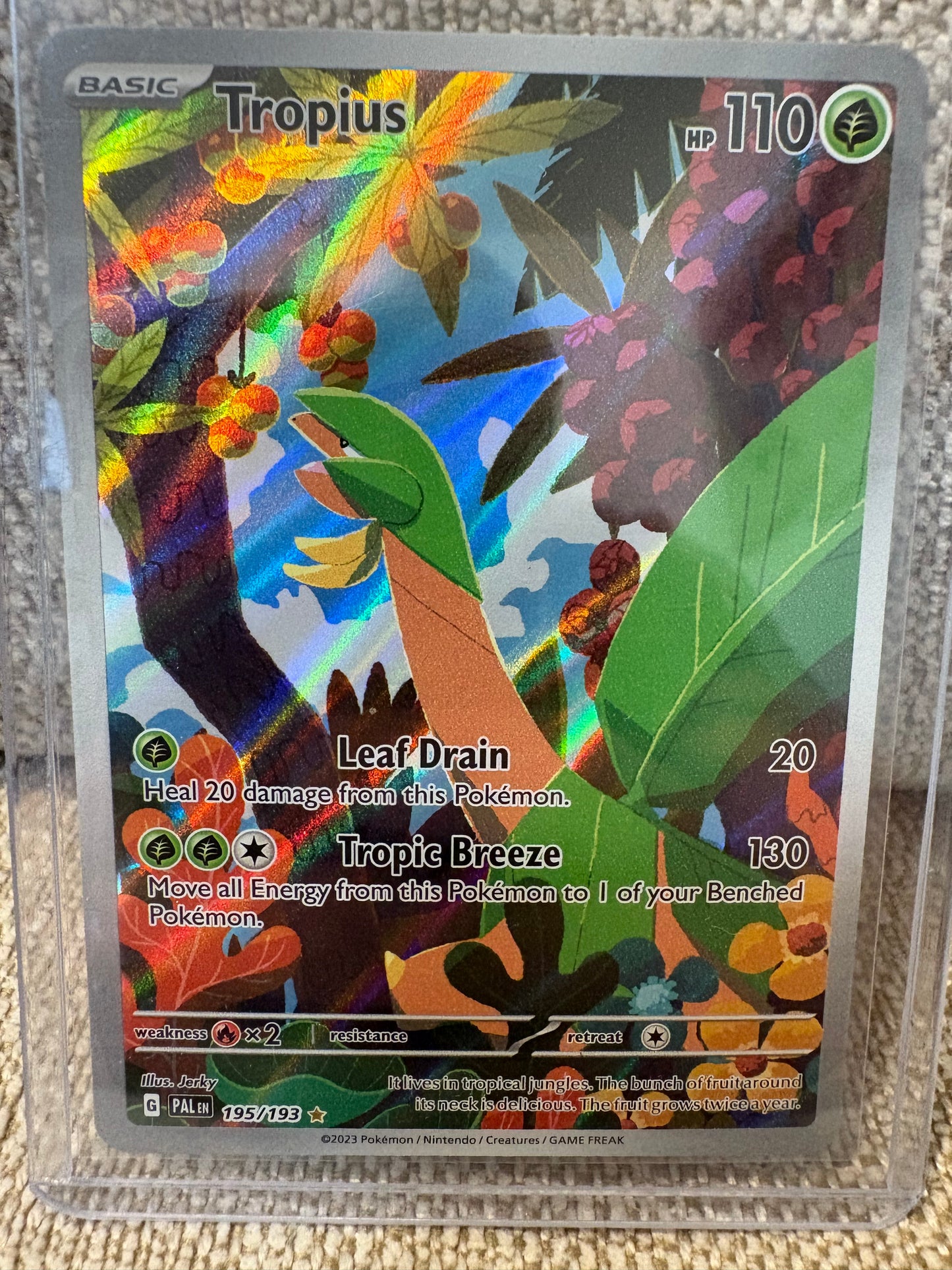 2023 Pokémon Paldea Evolved Tropius #195