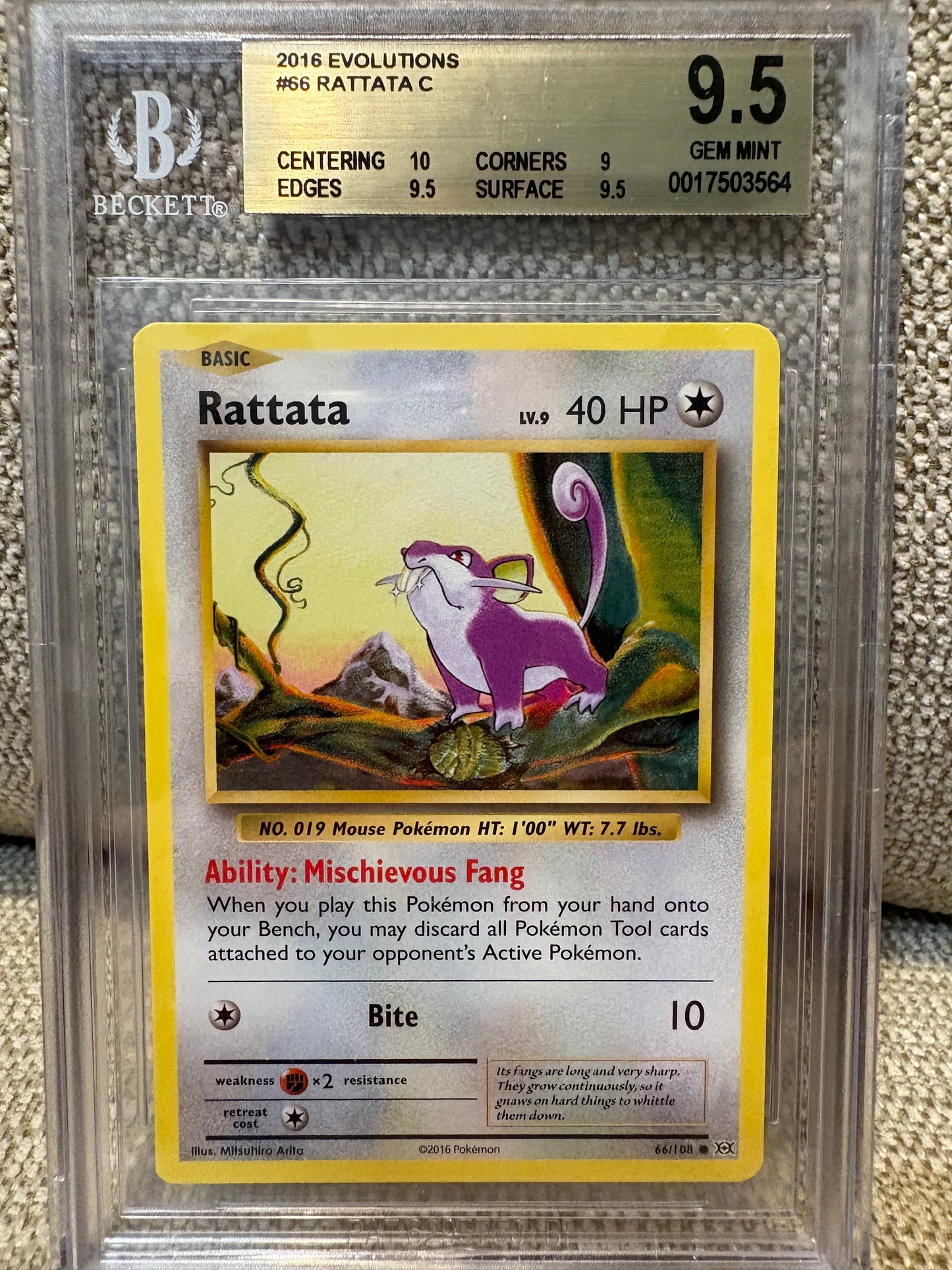 2016 Pokemon Evolutions RATTATA #66