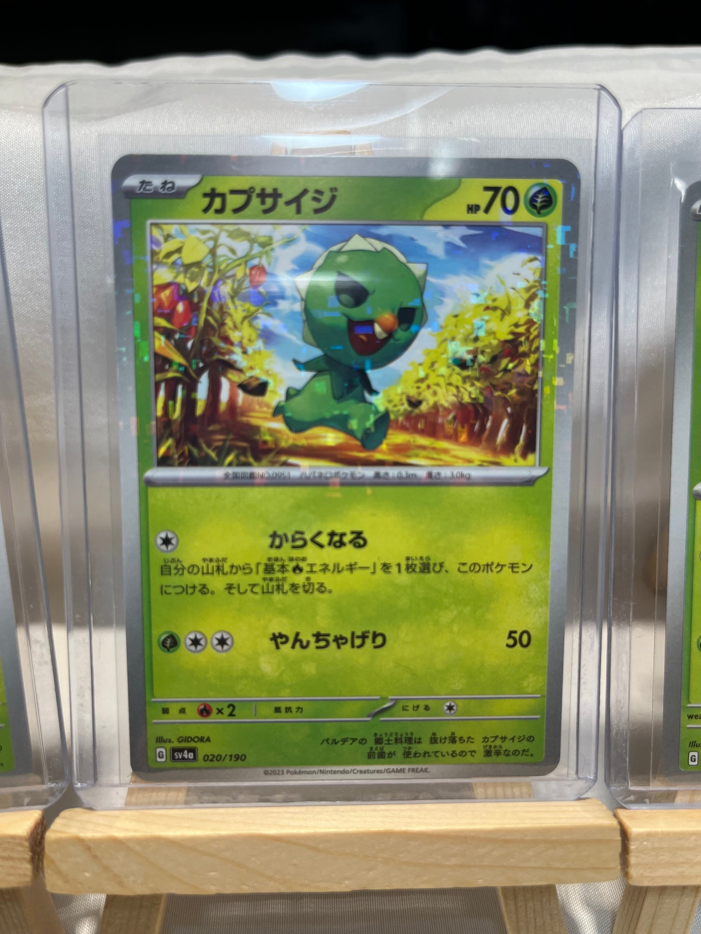 2023 Pokemon Capsakid Set