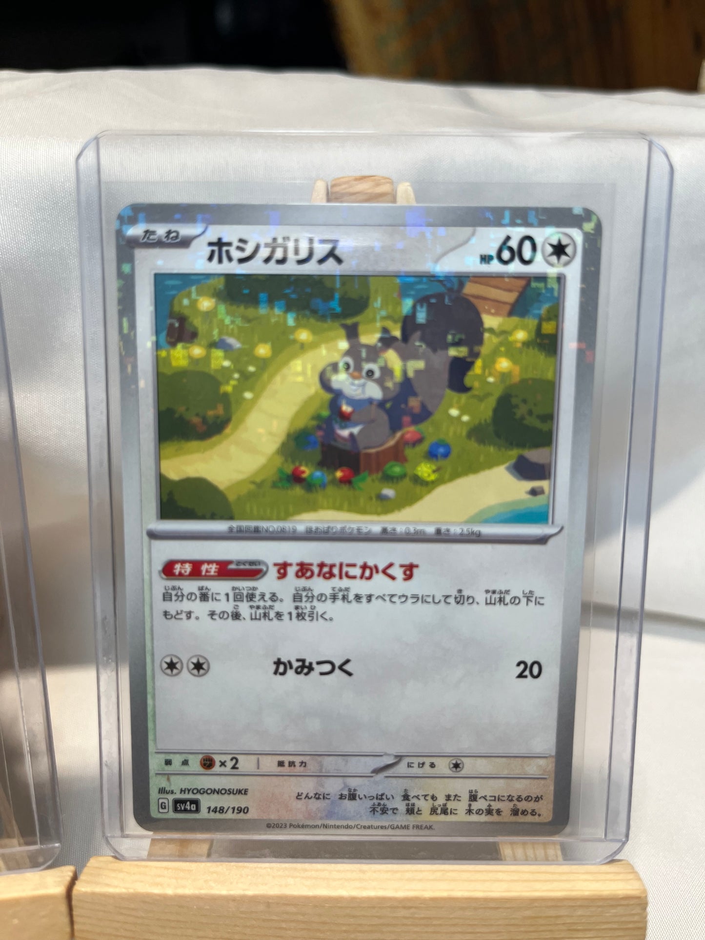 2023 Pokemon Skwovet Set
