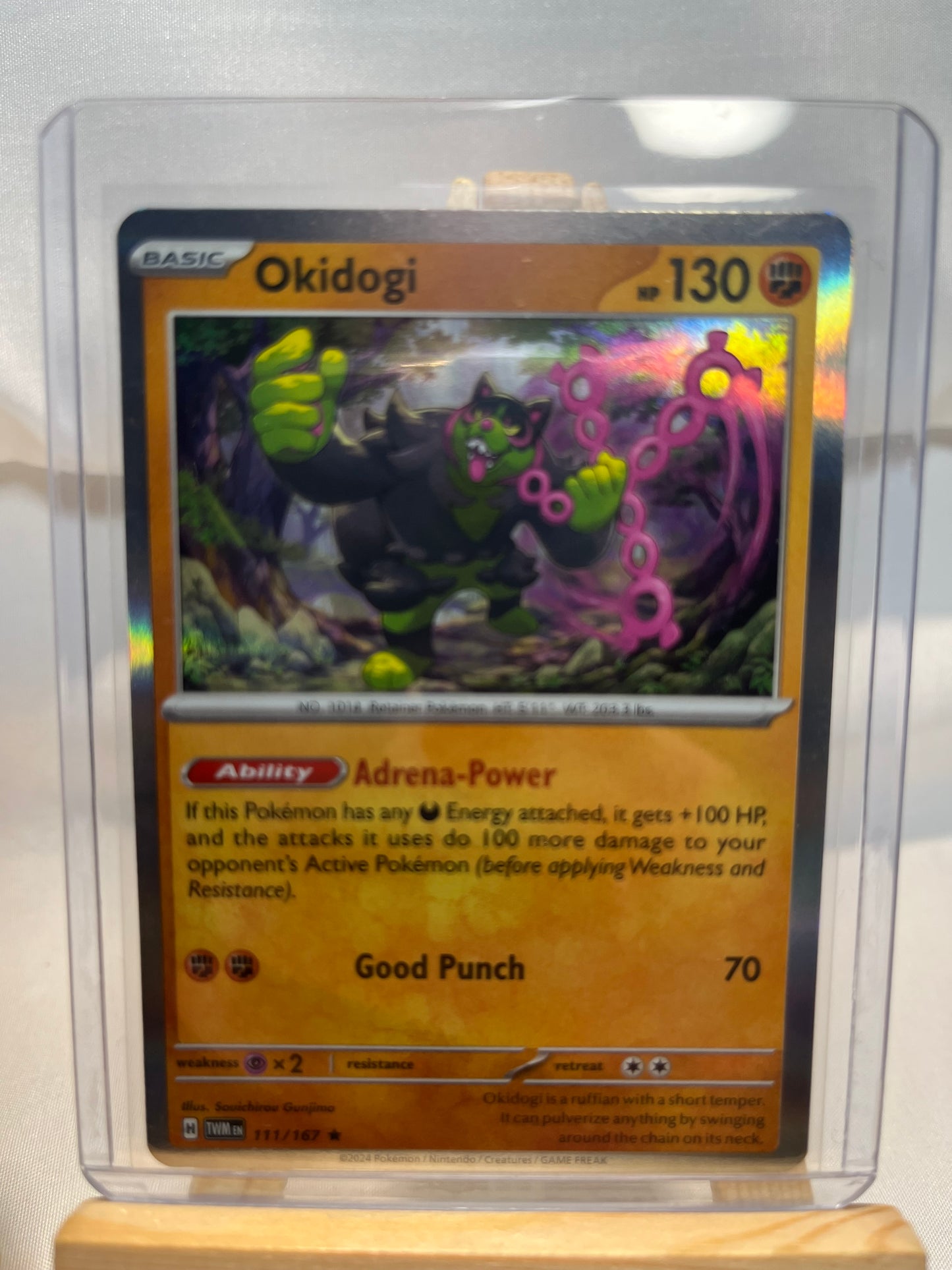 2023 Pokemon Okidogi Holo Set