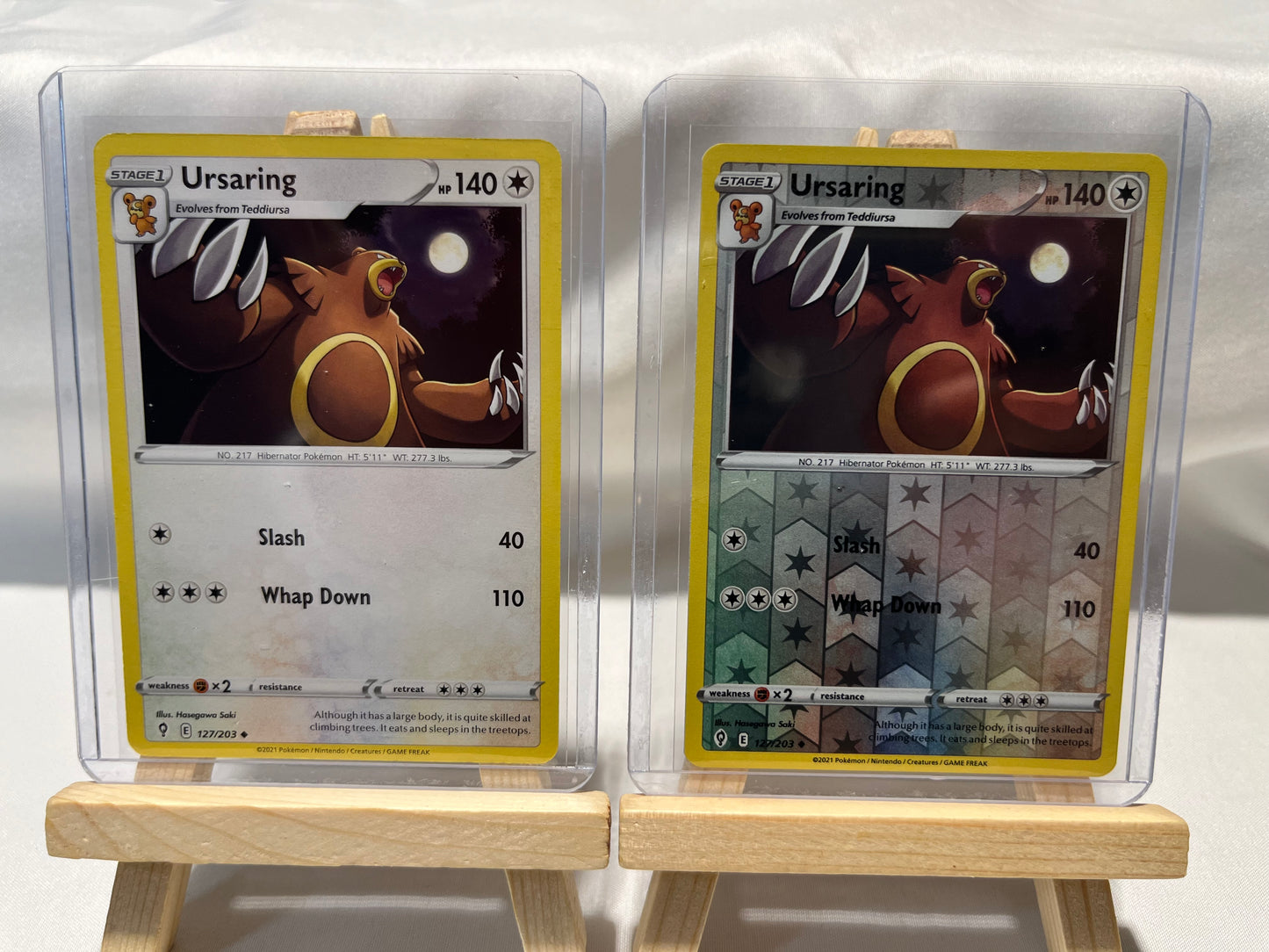 2021 Pokemon Ursaring Set