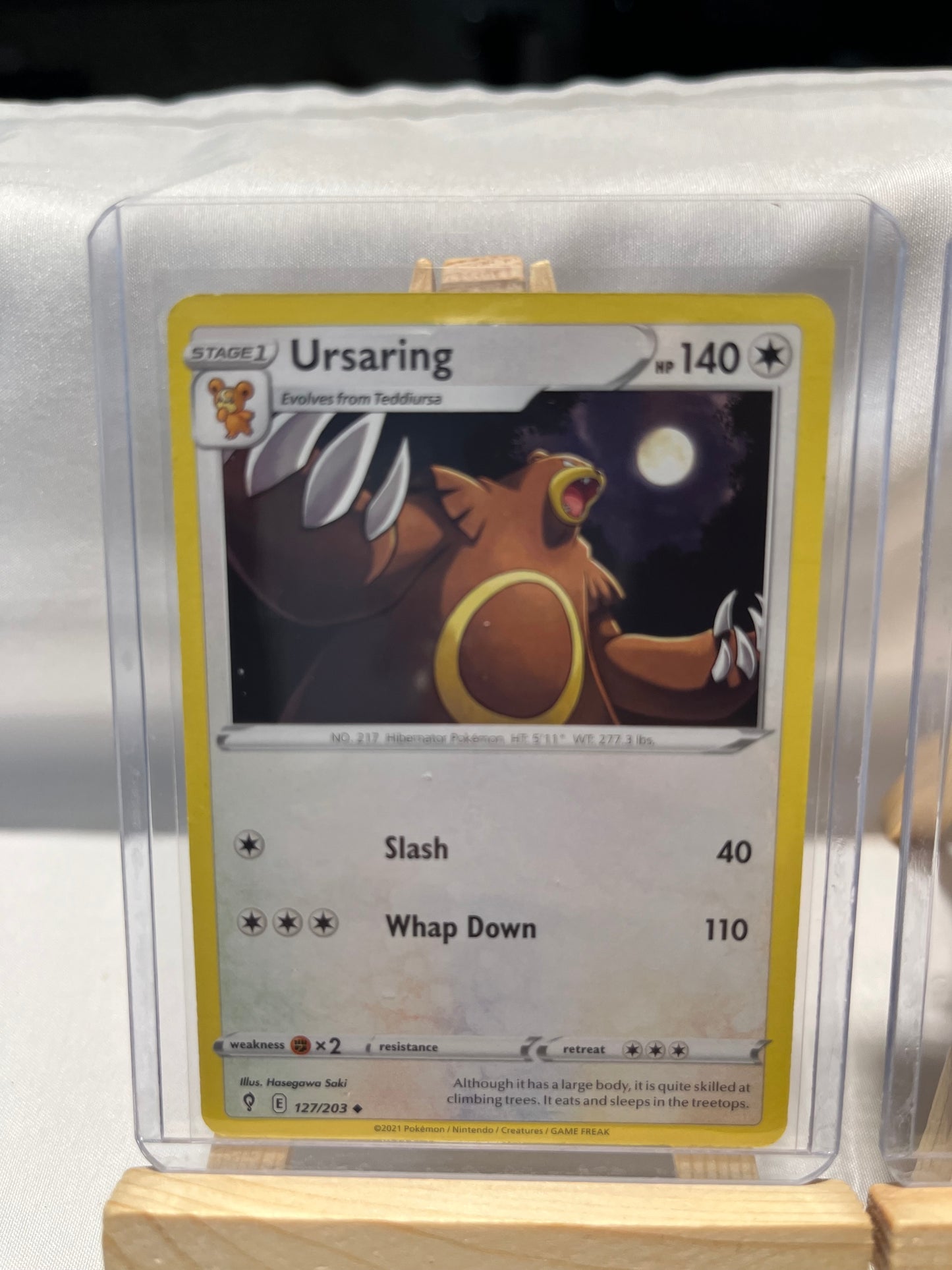 2021 Pokemon Ursaring Set
