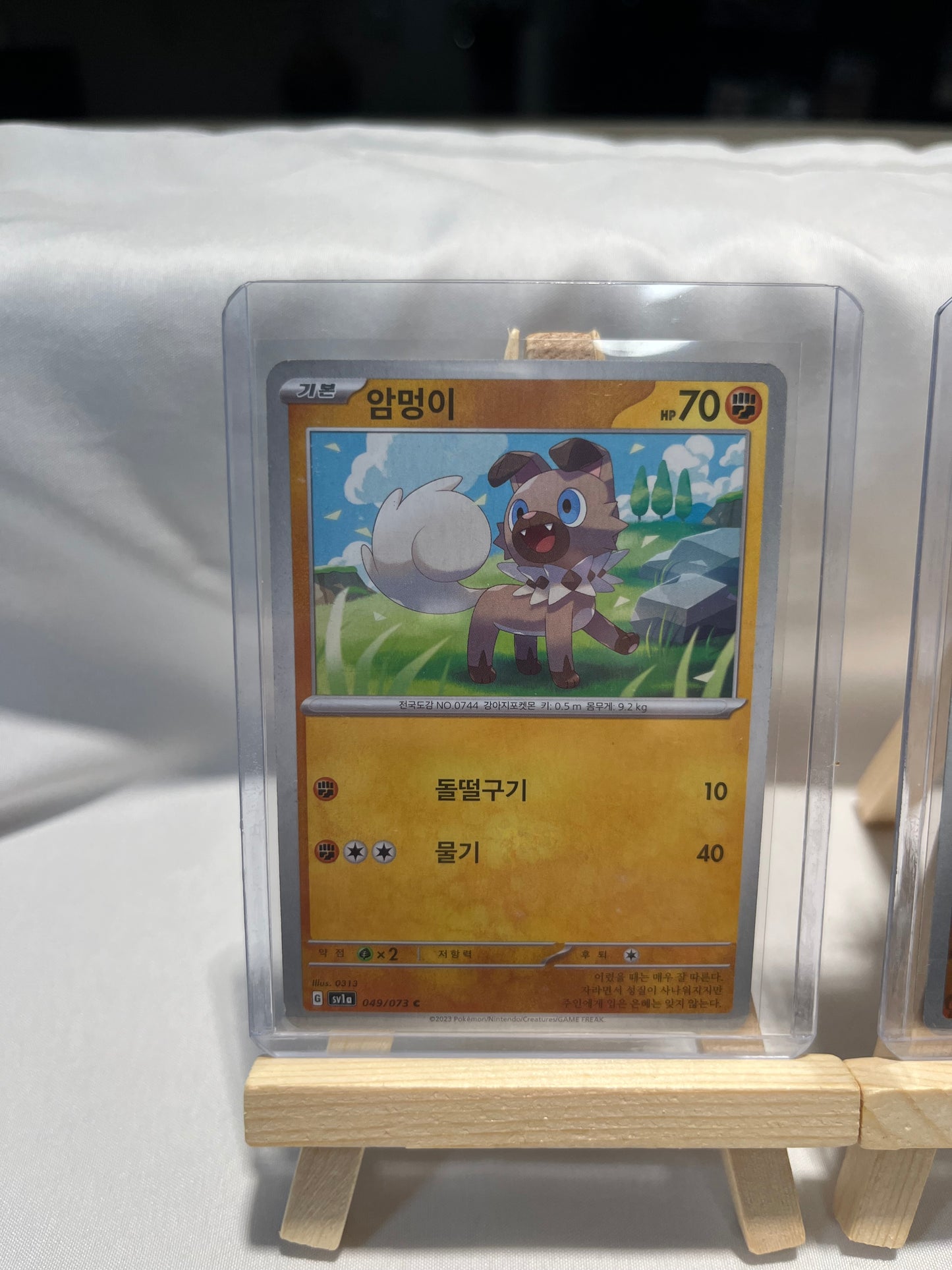 2023 Pokemon Rockruff Set