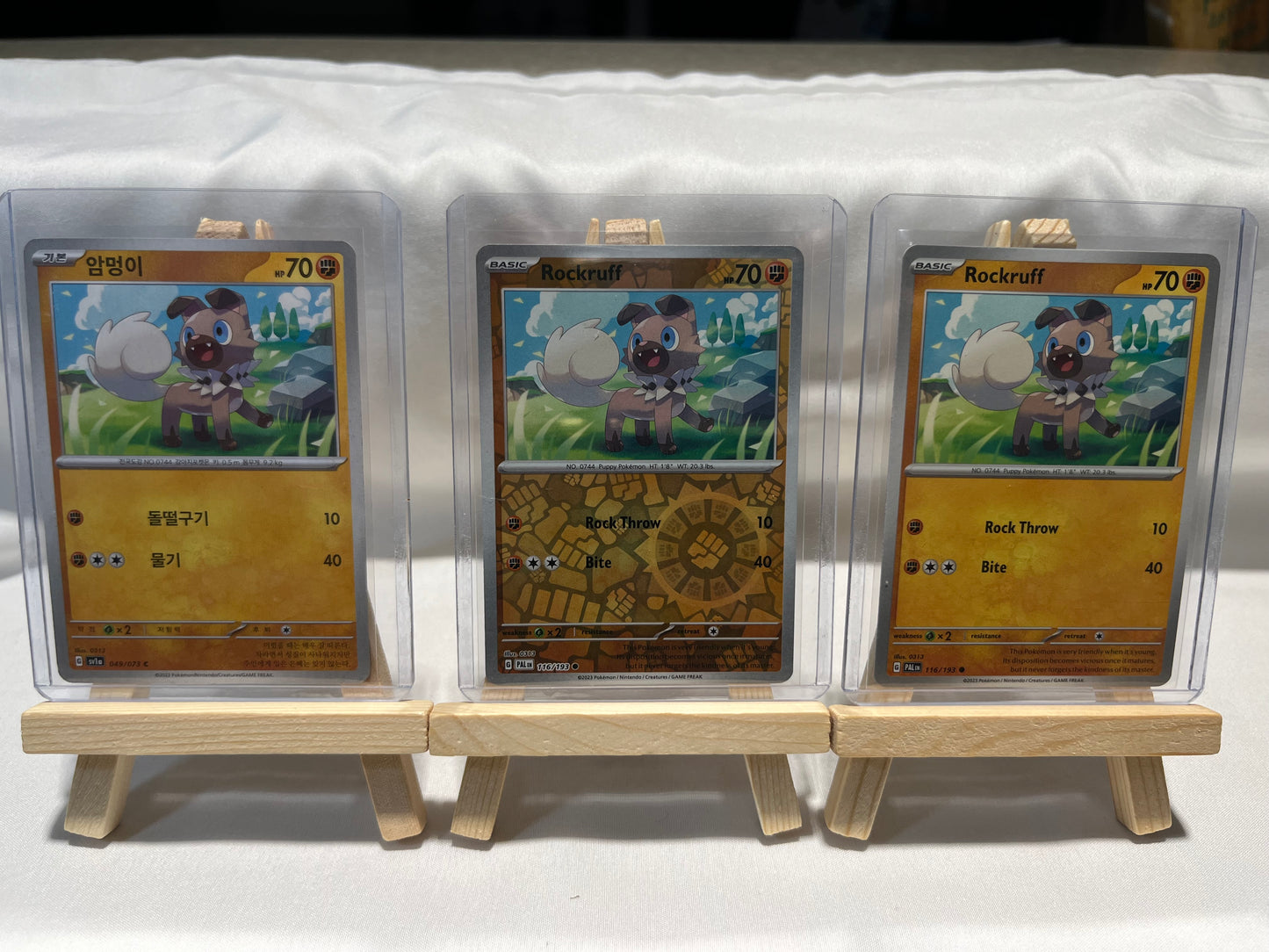 2023 Pokemon Rockruff Set