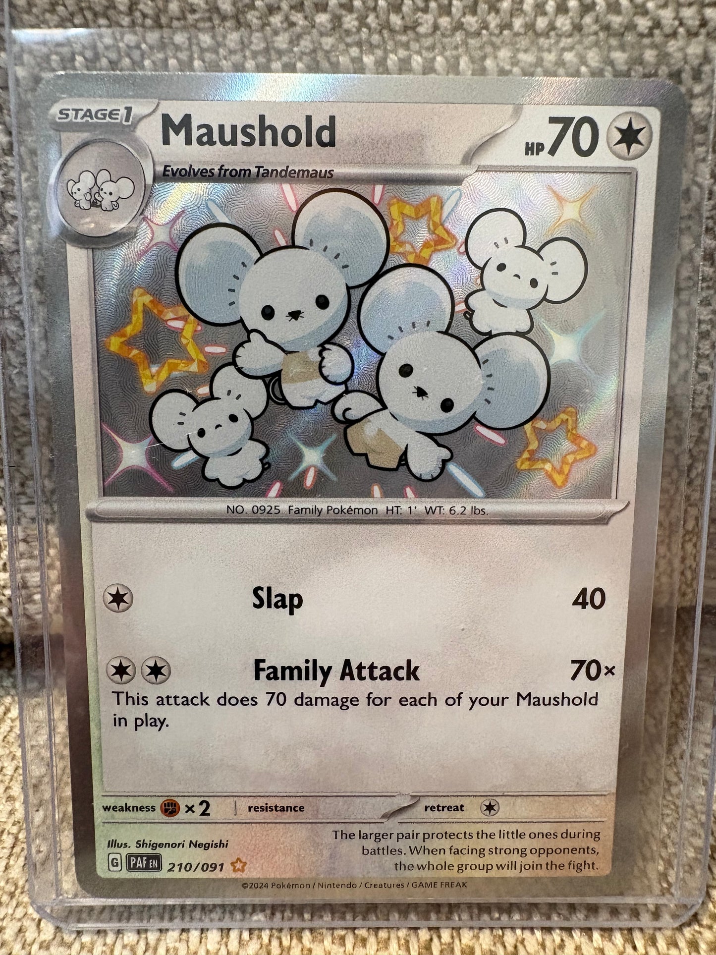 2024 Pokemon Paldean Fates MAUSHOLD #210