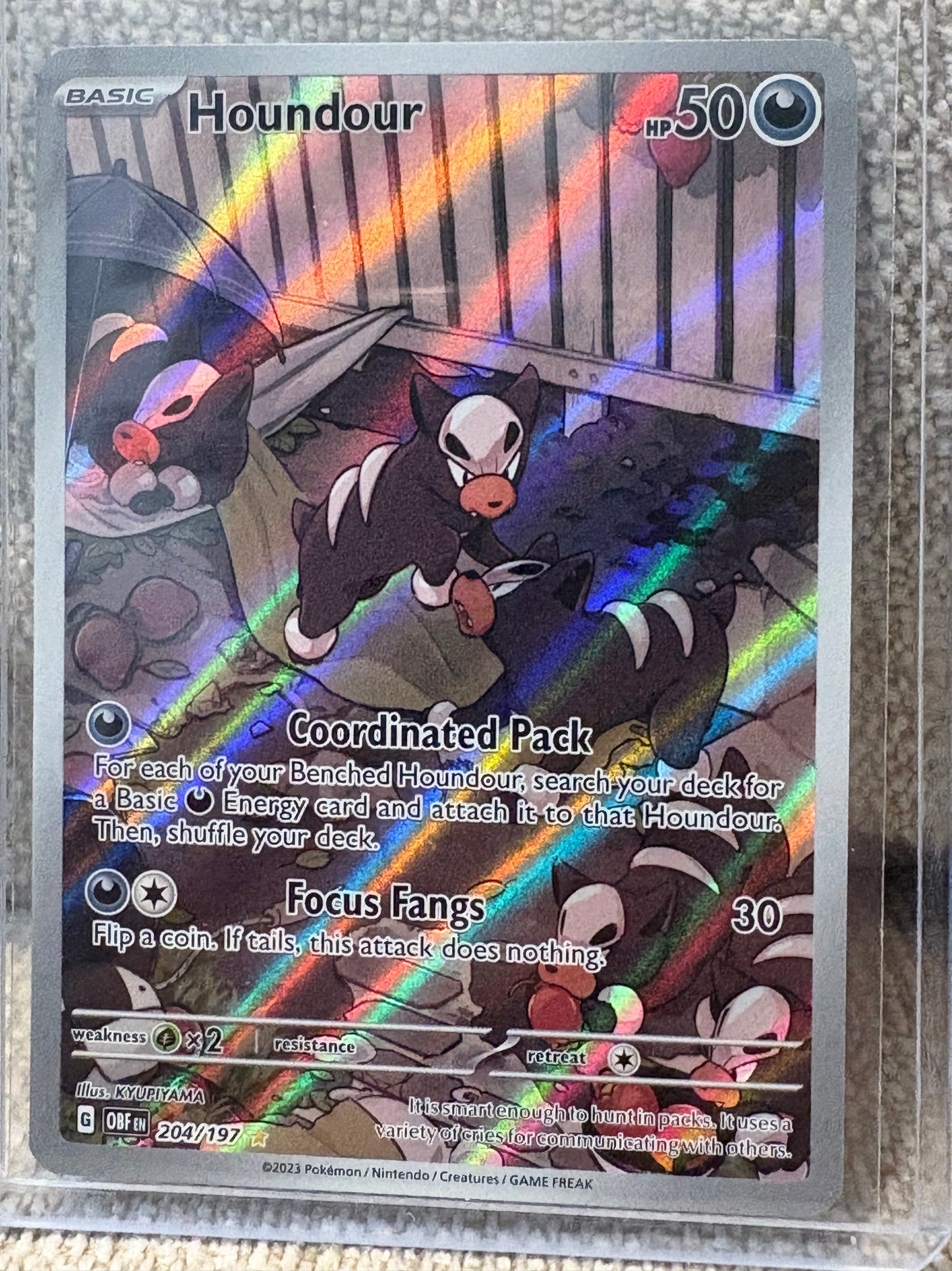 2023 Pokemon Obsidian Flames HOUNDOUR #204