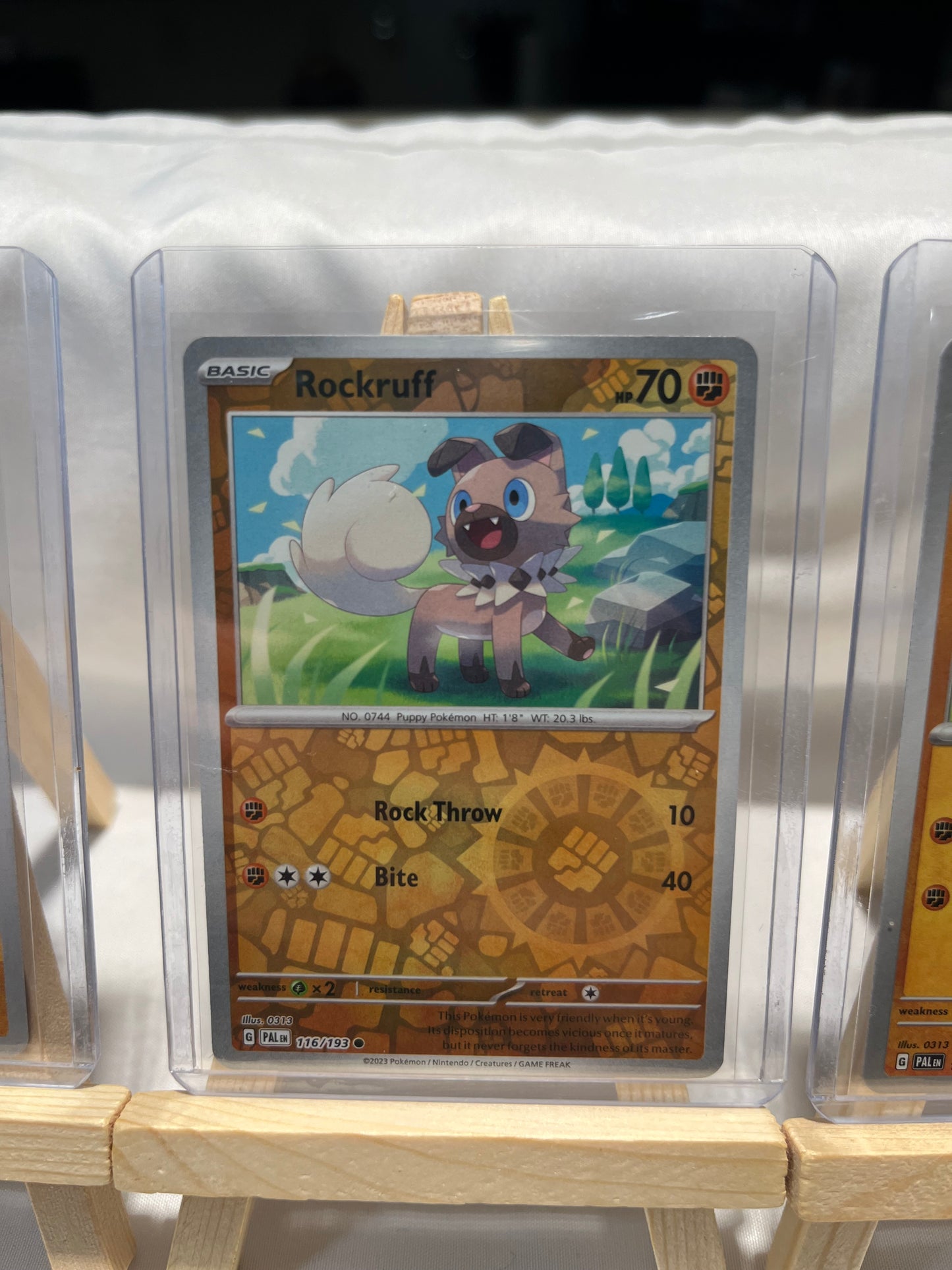 2023 Pokemon Rockruff Set