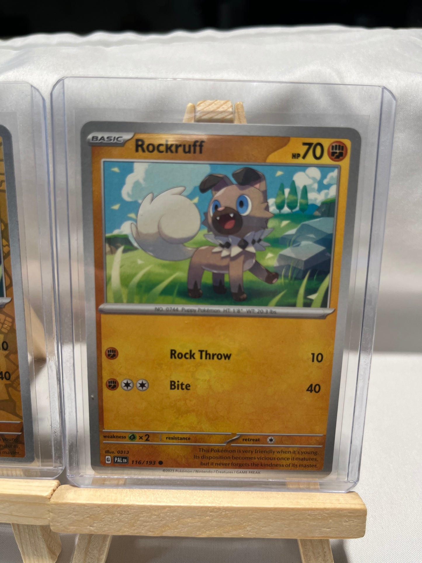 2023 Pokemon Rockruff Set