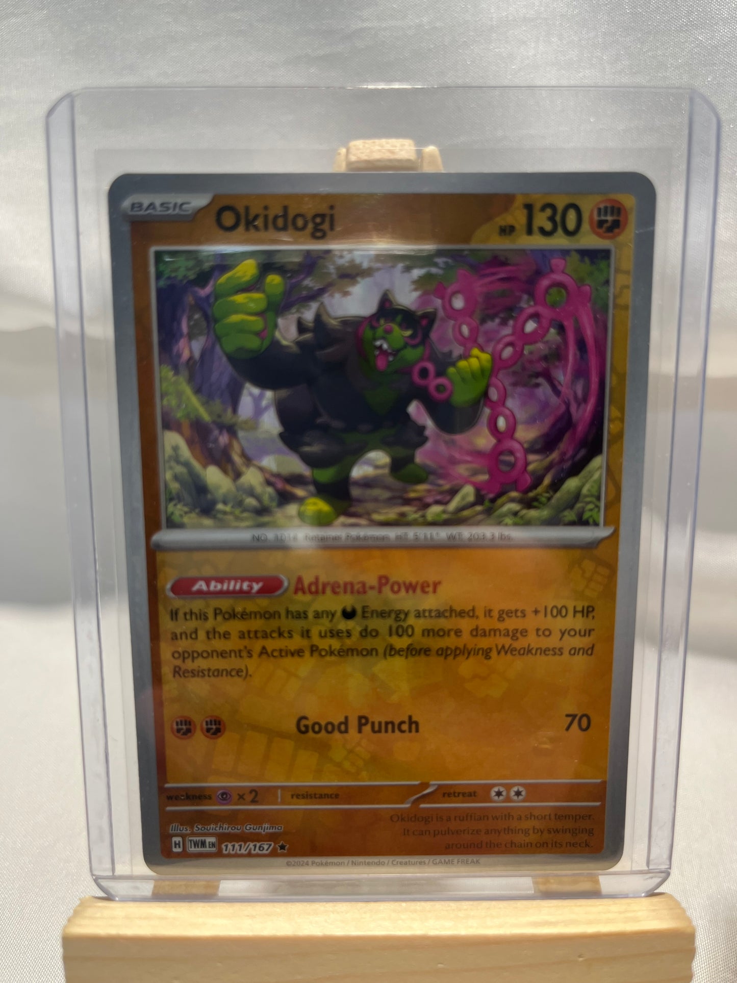 2023 Pokemon Okidogi Holo Set