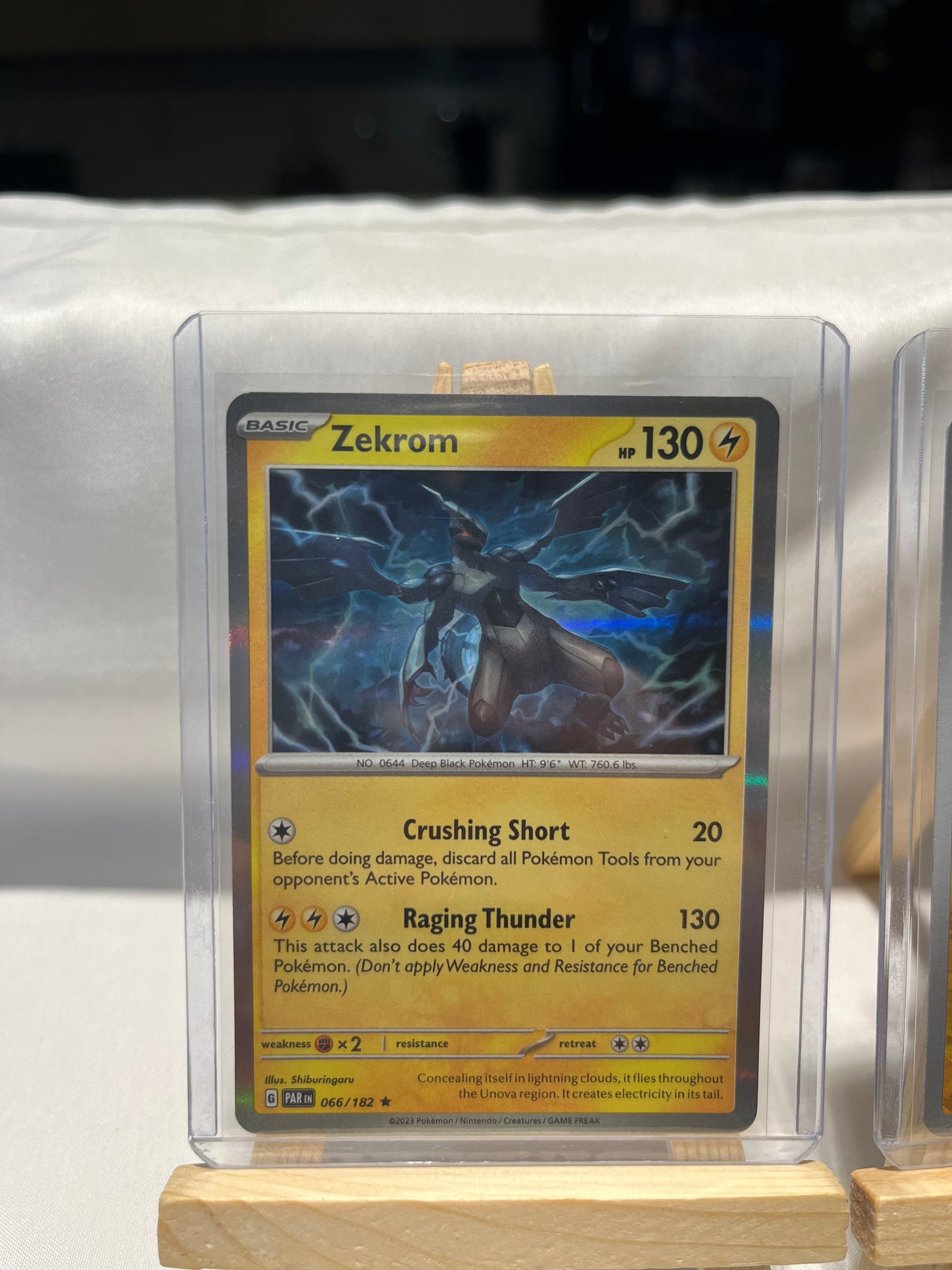 2023 Pokemon Zekrom Set