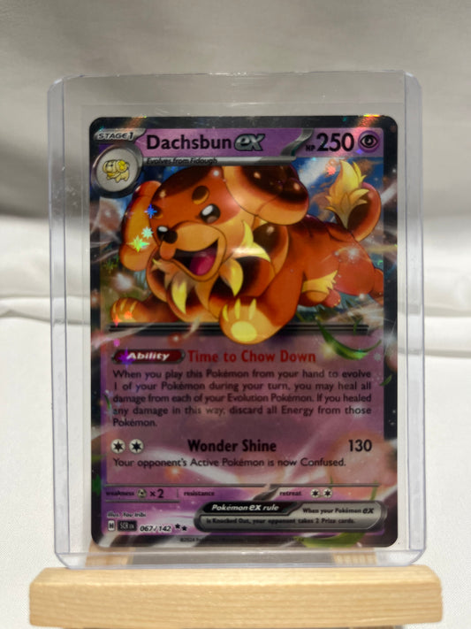 2024 Pokemon Scarlet & Violet Stellar Crown Dachsbun EX #67